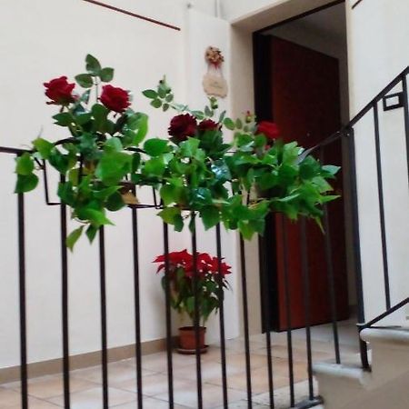 Hotel La Rosa Rossa Bari Exteriér fotografie