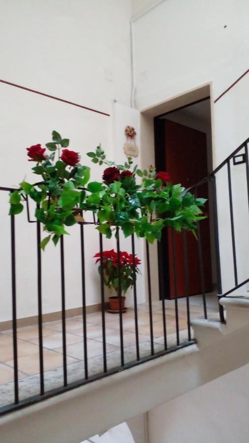 Hotel La Rosa Rossa Bari Exteriér fotografie